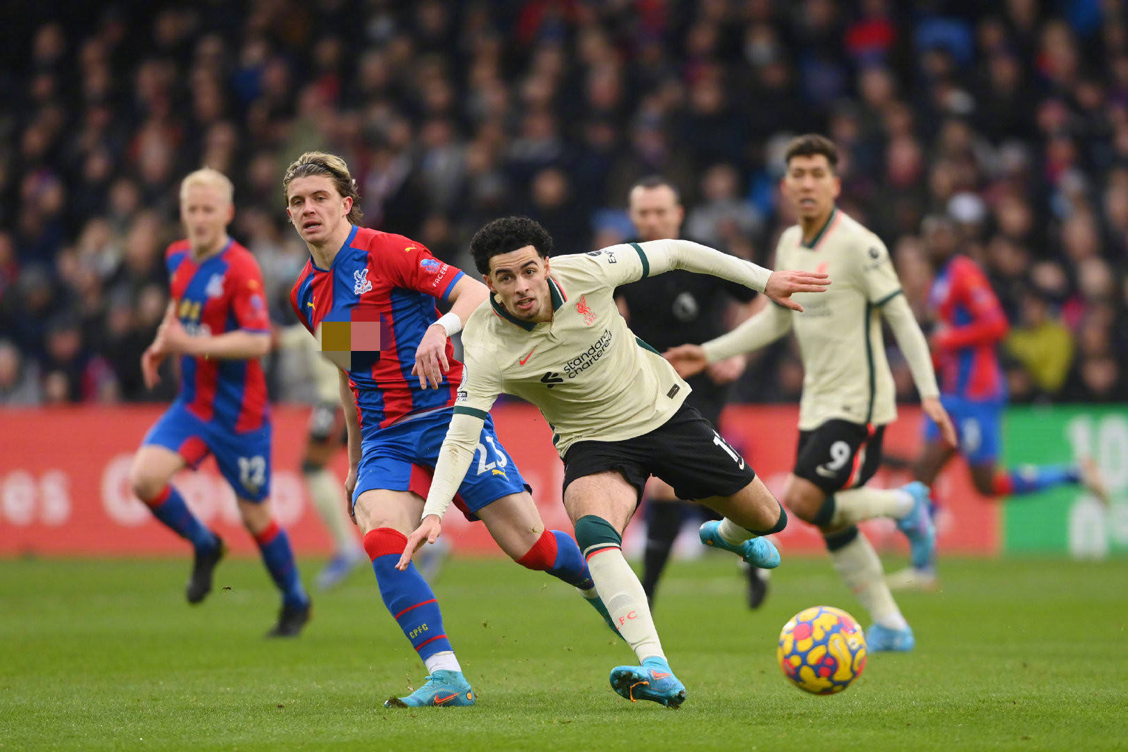 这些特质让 这些特质让